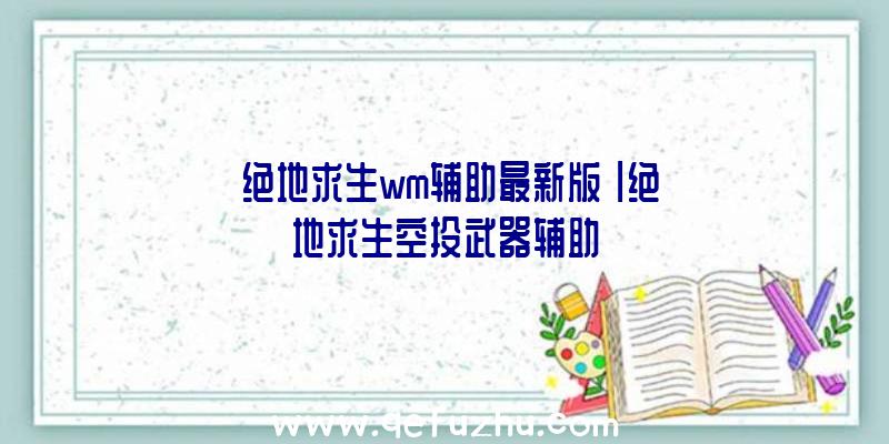 「绝地求生wm辅助最新版」|绝地求生空投武器辅助